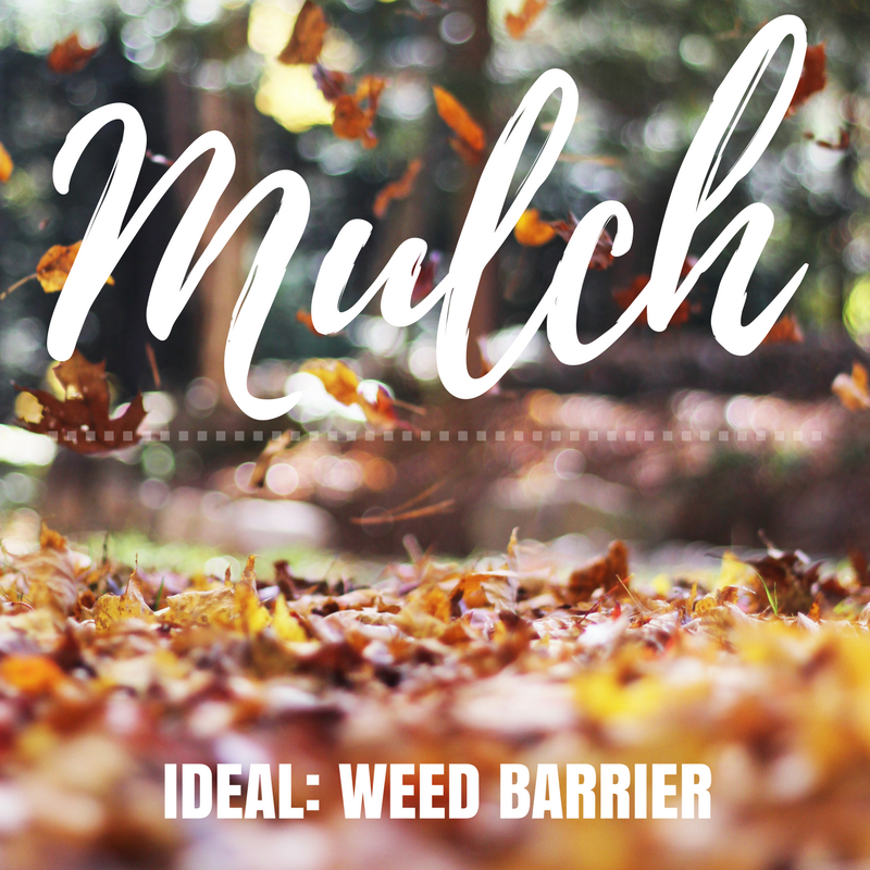 uses for mulch