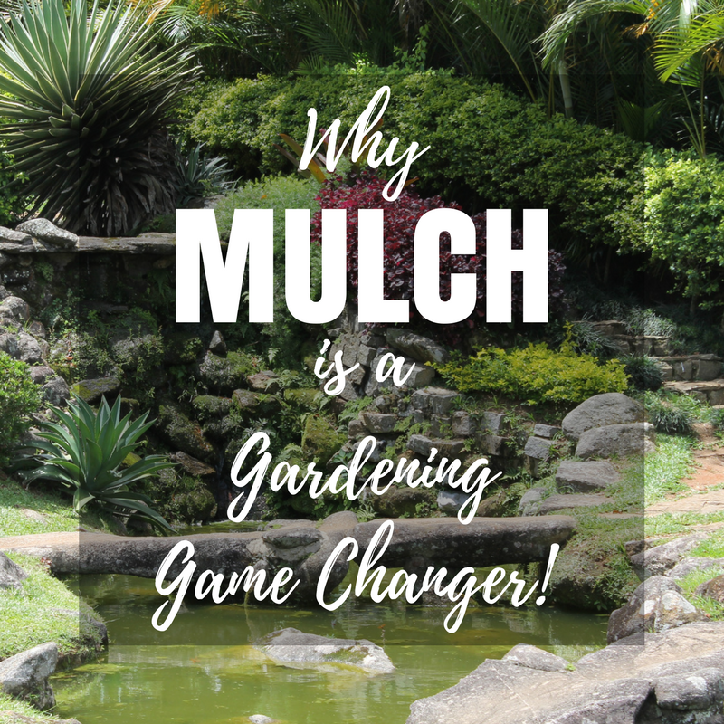 Mulch